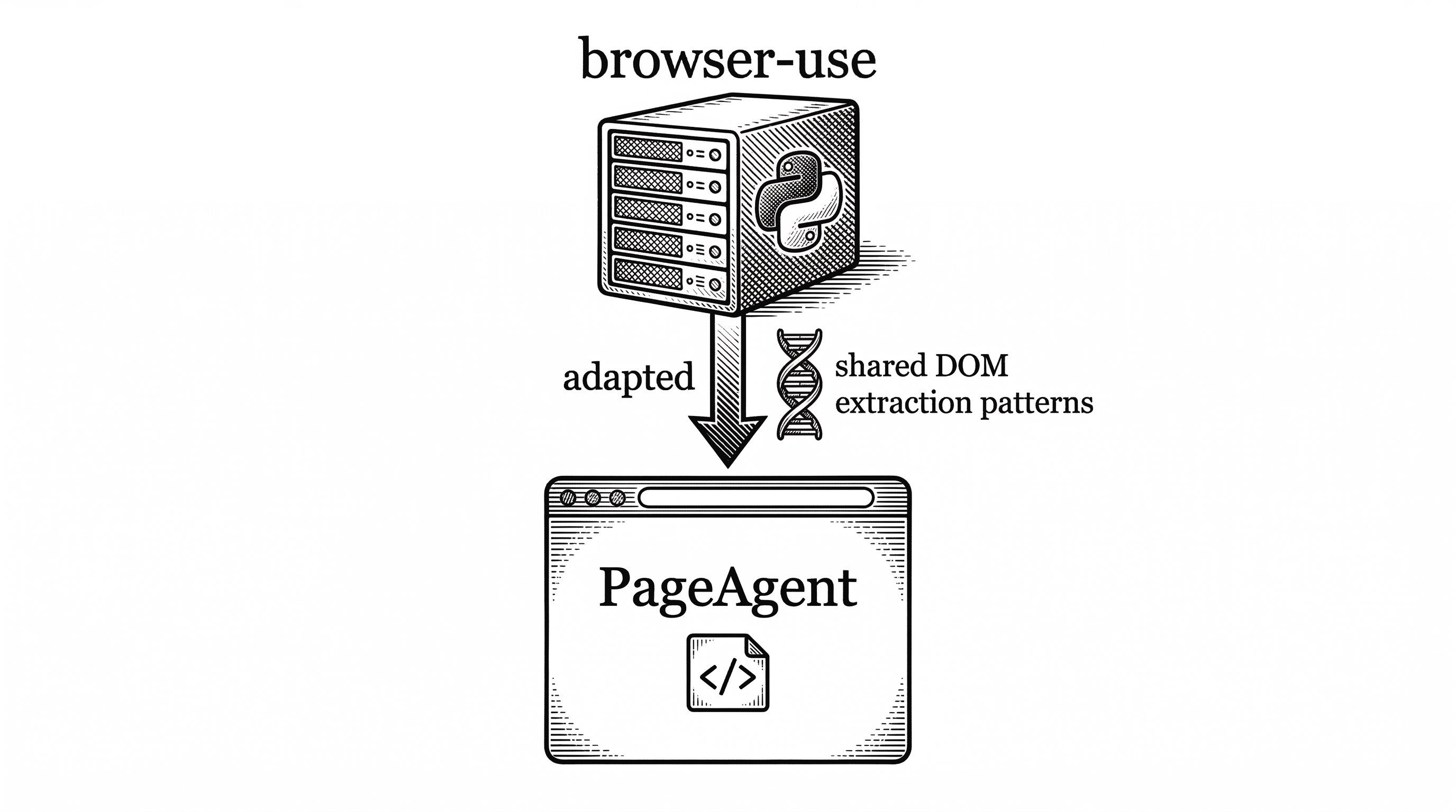A family tree showing browser-use at the top as a server-side ancestor. An arrow labeled adapted points down to PageAgent which sits inside a browser window shape. The browser-use side has server racks and Python logos while the PageAgent side has only a browser tab and a script tag.